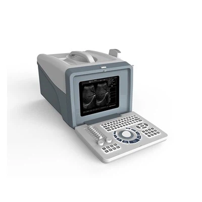 B/W ULTRASOUND FTL-UTS70